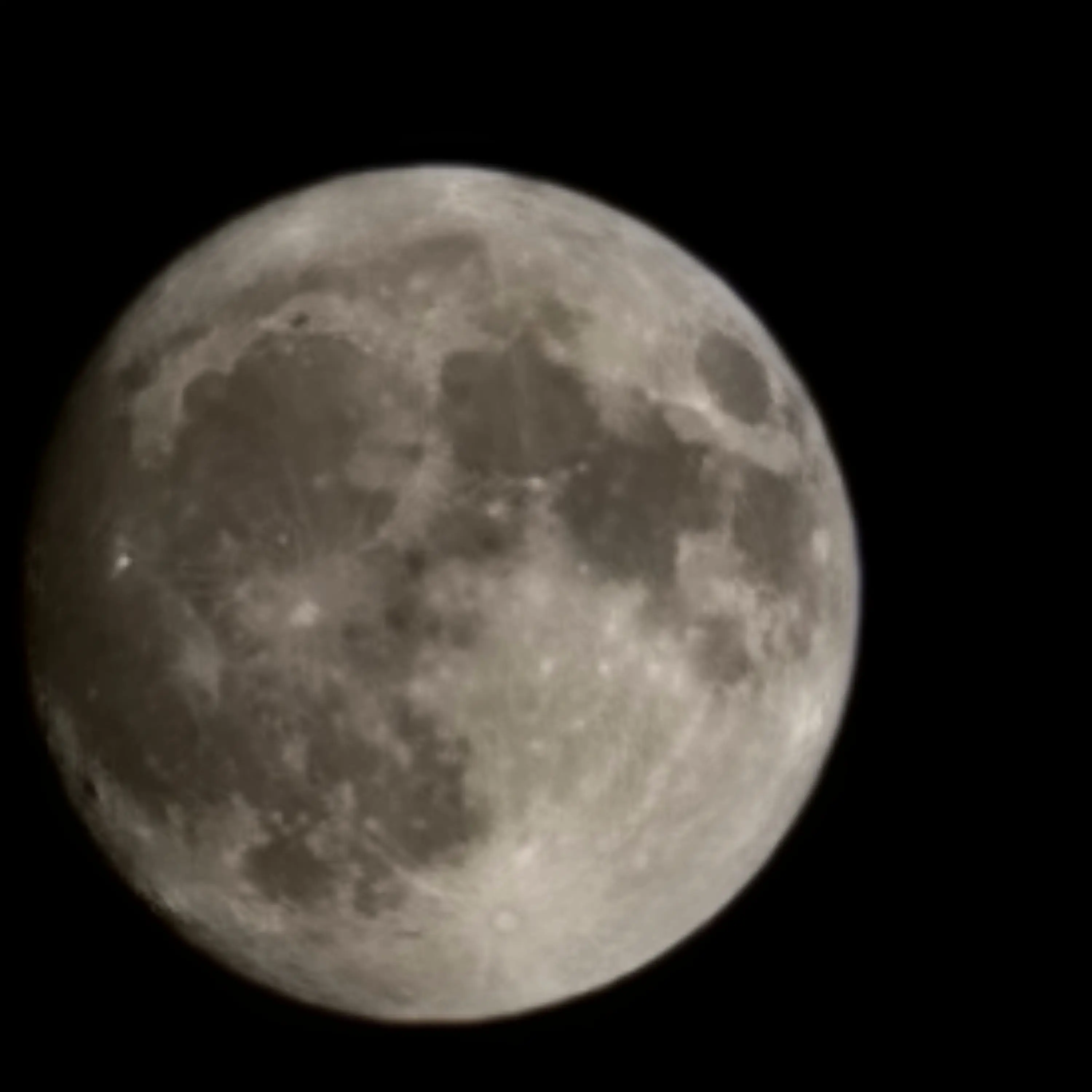 CurvyScrew5380의 틱톡 크루