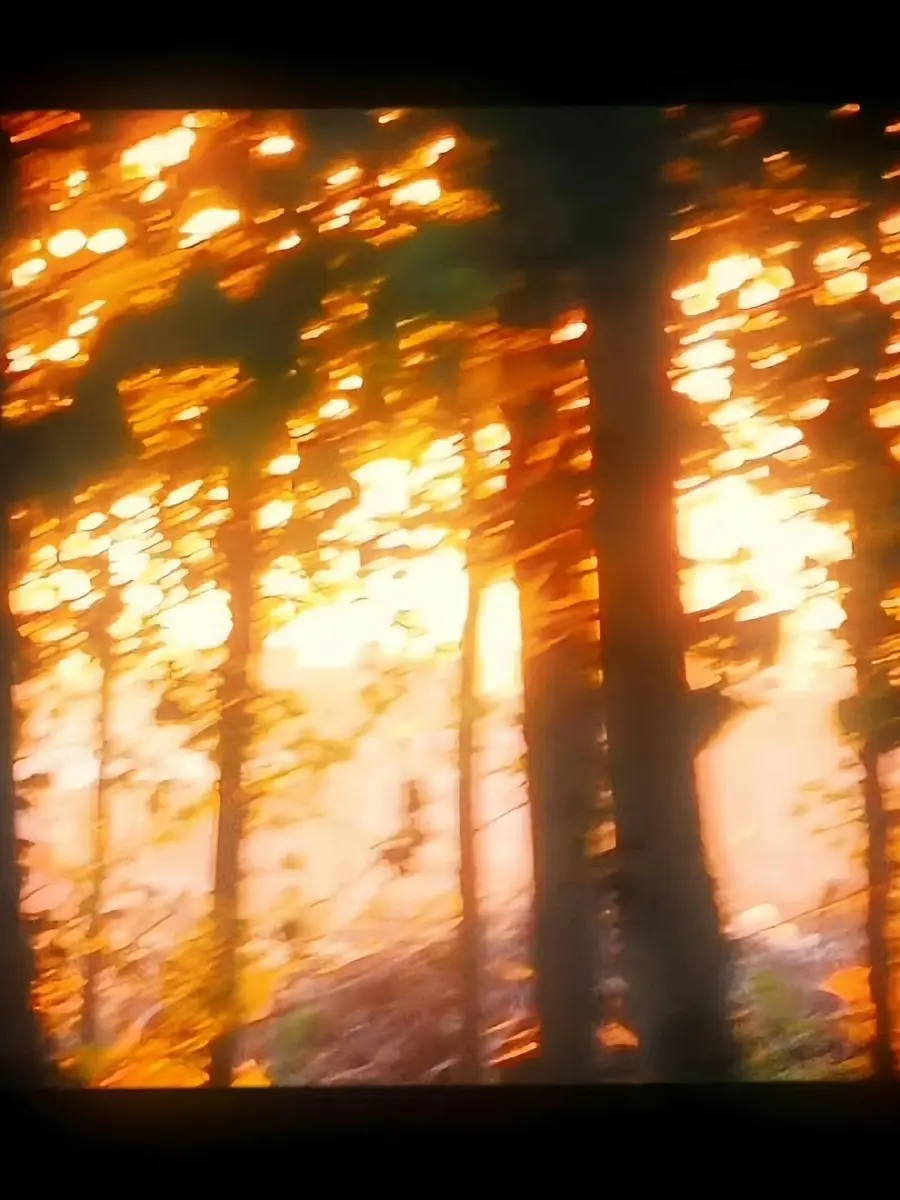 interesting_taste의 코마