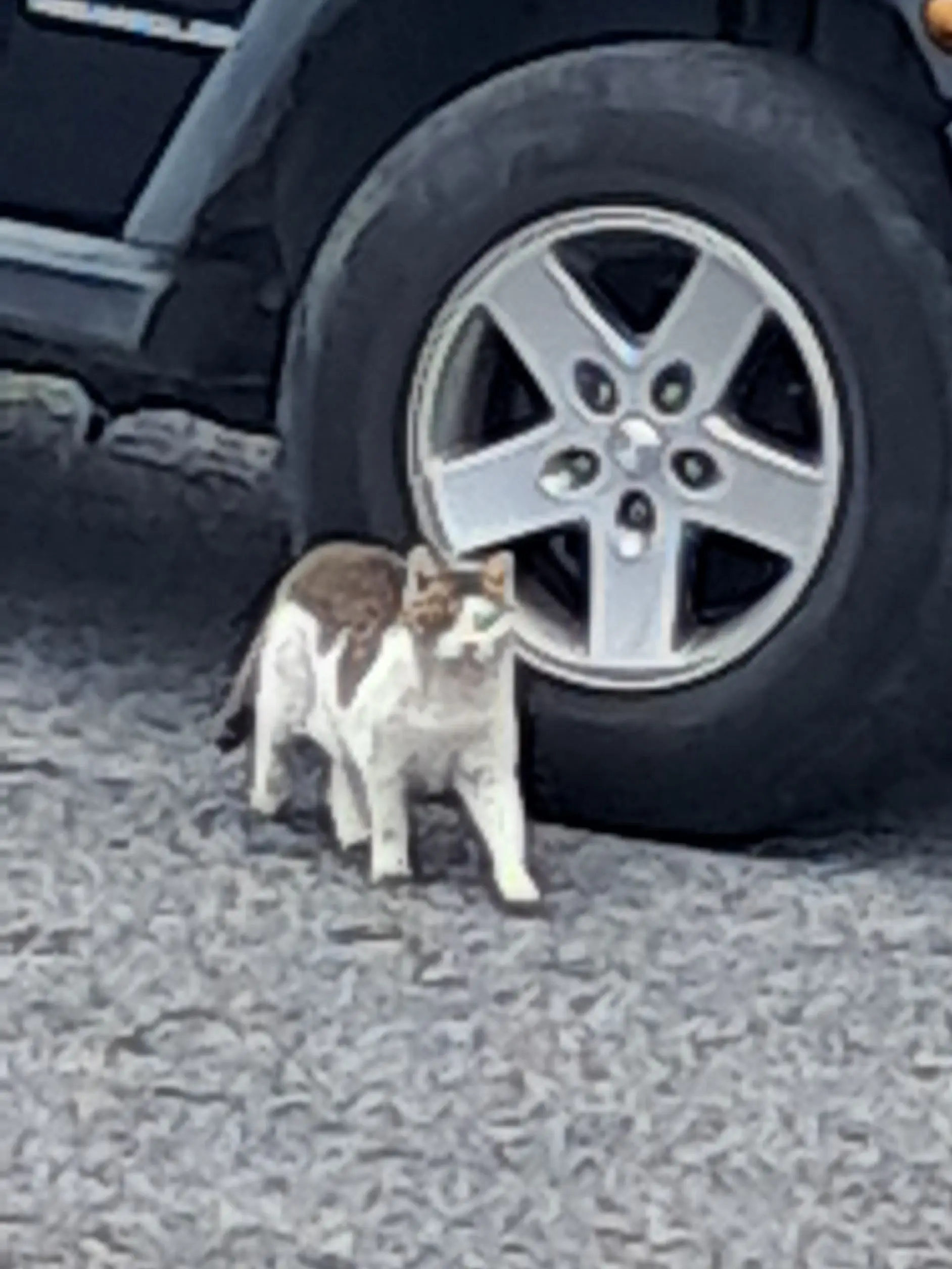 MoistWorm4468의 ❤️‍🔥🚨