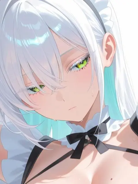 ShiftyCart5017의 なんでもしてくれるクールなメイドさん