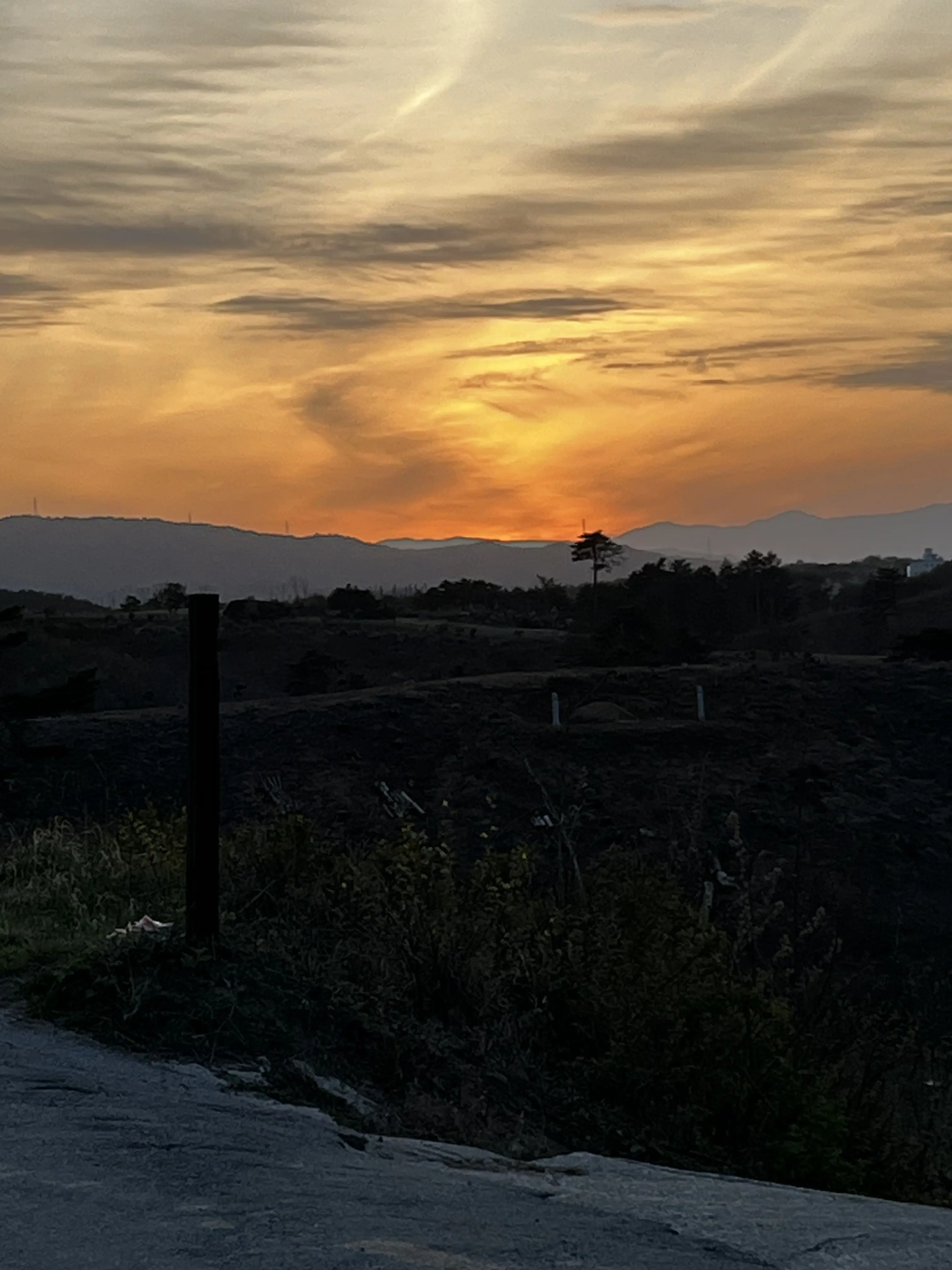 PrettyDress7463의 언니 친구들