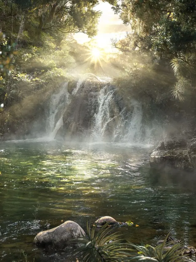 SpongyCrane5884의 Garden of Eden