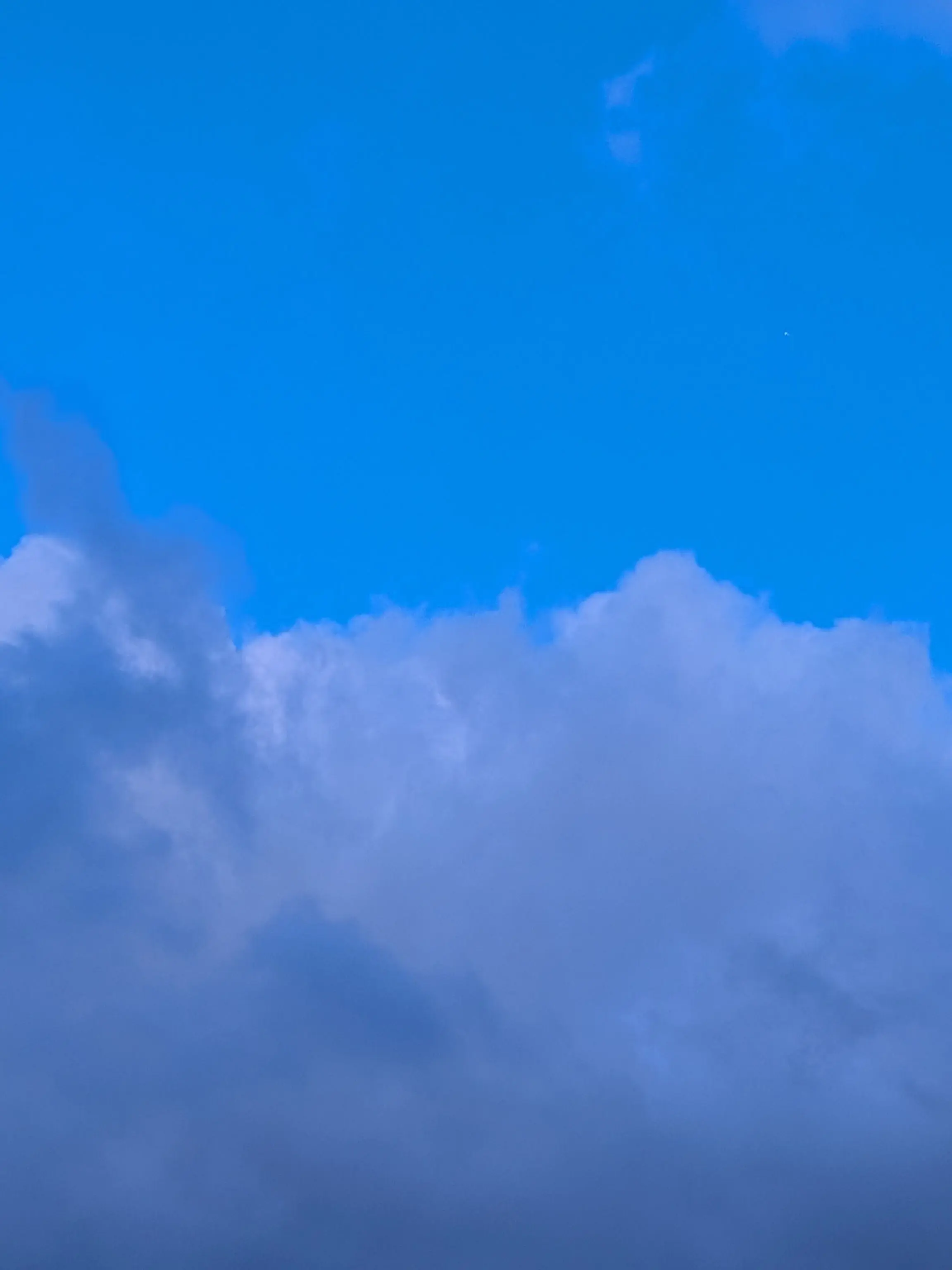 yajuikisugi의 ヴィアベル