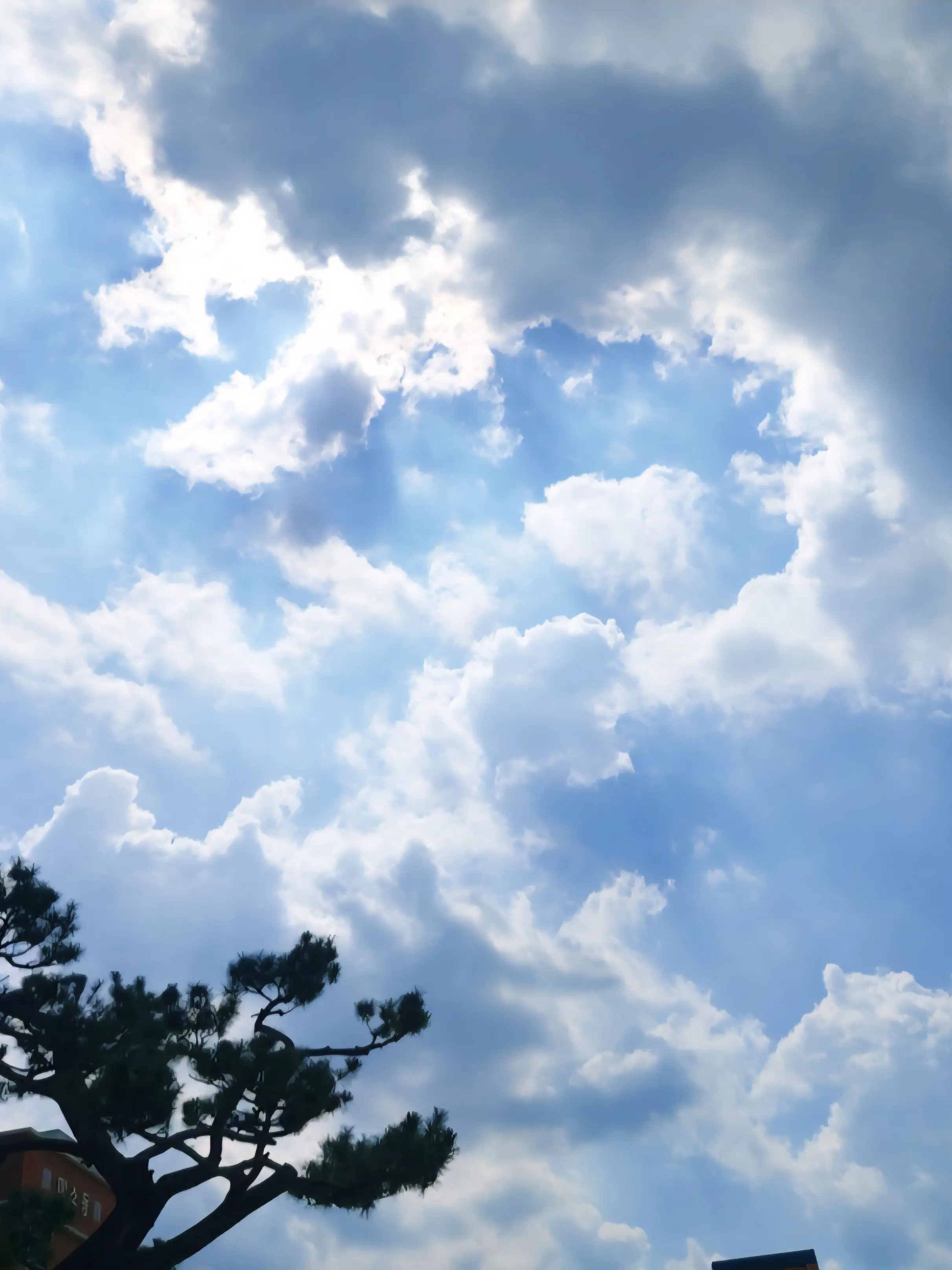 WornClean8088의 남자 유튜버들이랑 놀러갔다