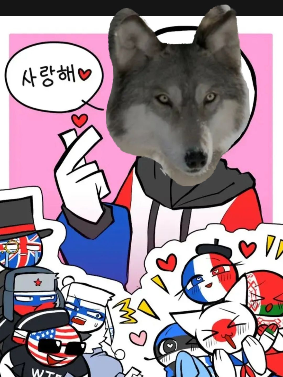 컨휴고+늑대 대표 이미지