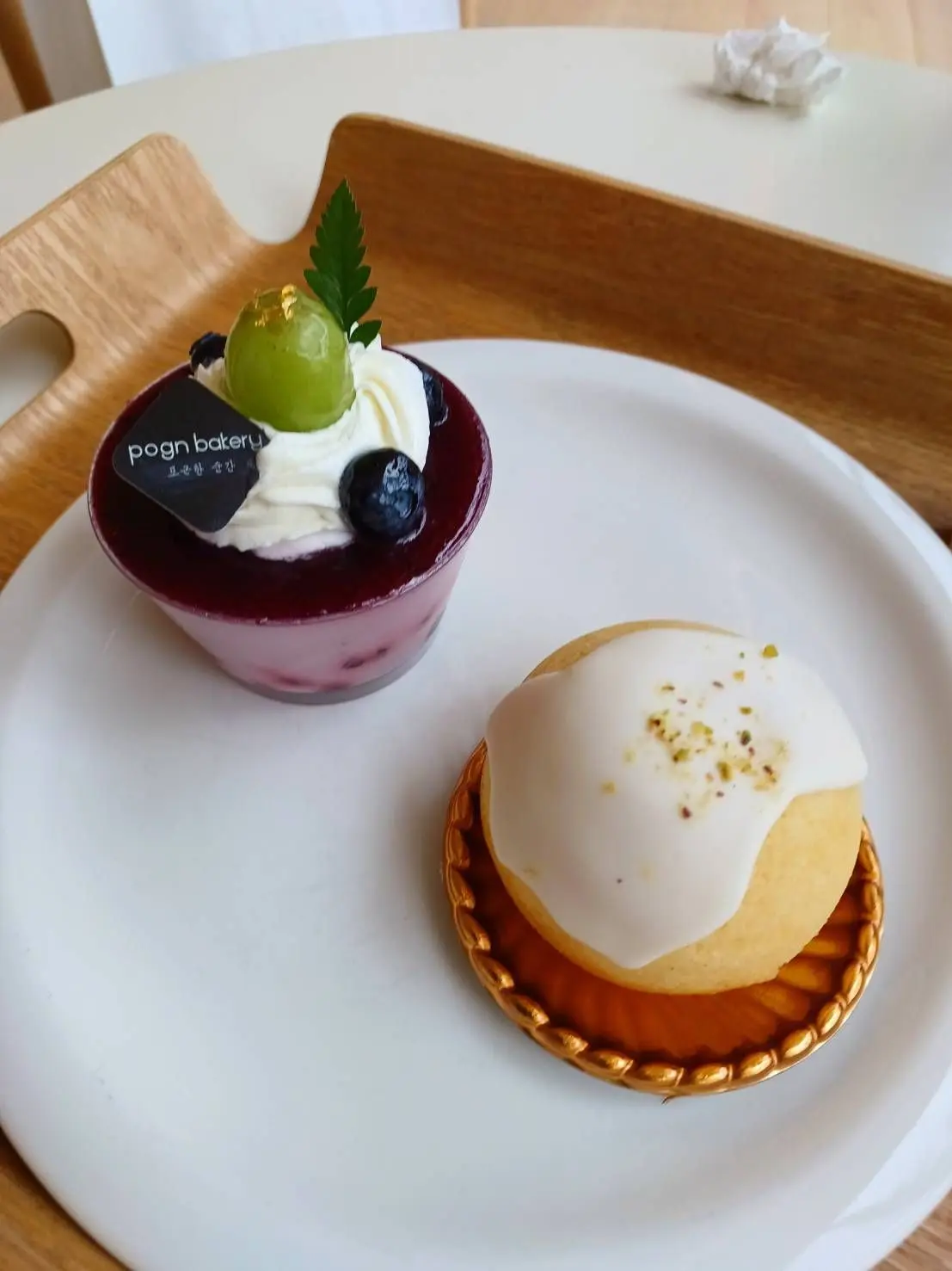 singgonum의 신의 종🔮과 신의 아이🌌