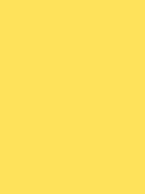 FickleNote7781의 ...?
