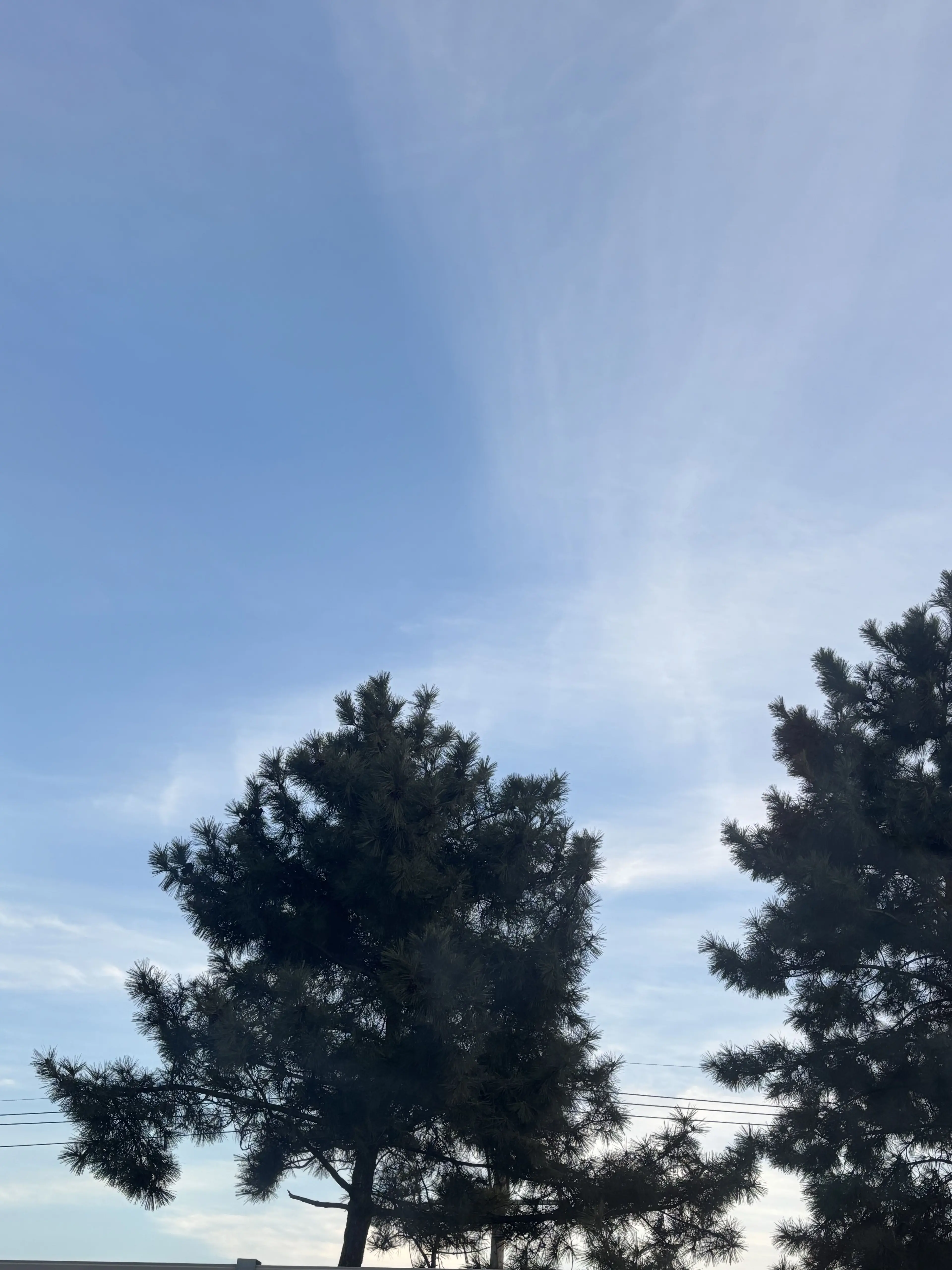 VastCake5509의 I love you so much