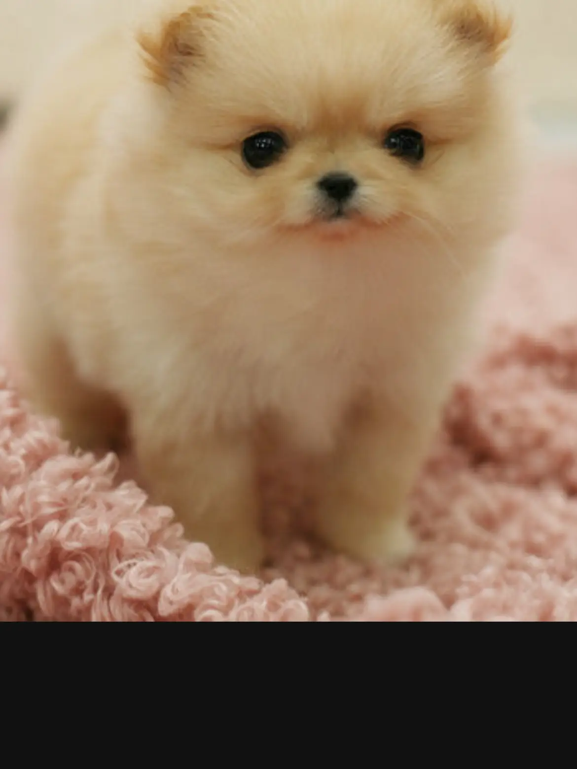 MildHose6464의 조예준