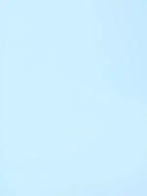 WetCello2572의 …