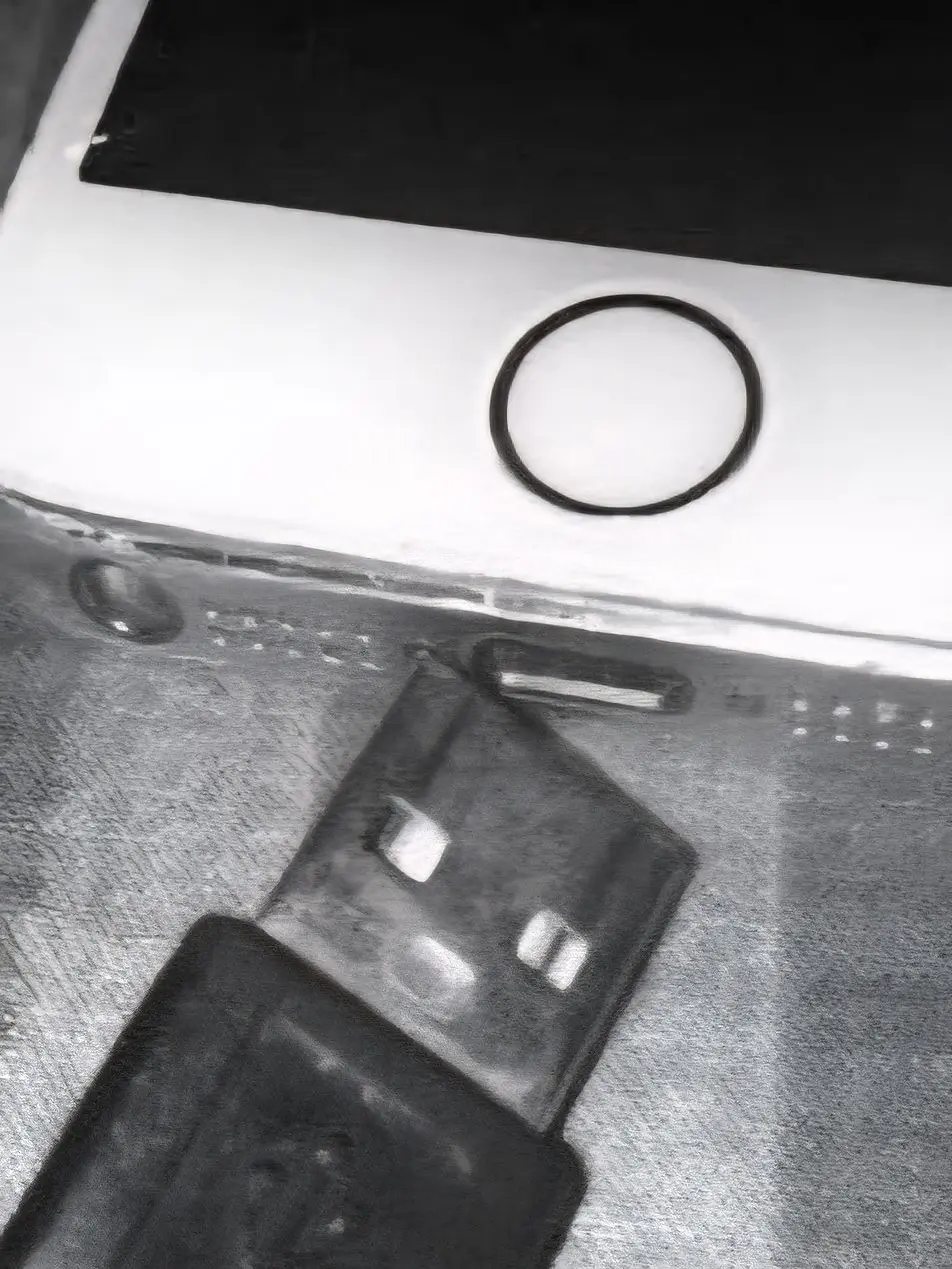 0patin_eTa의 늑대굴.