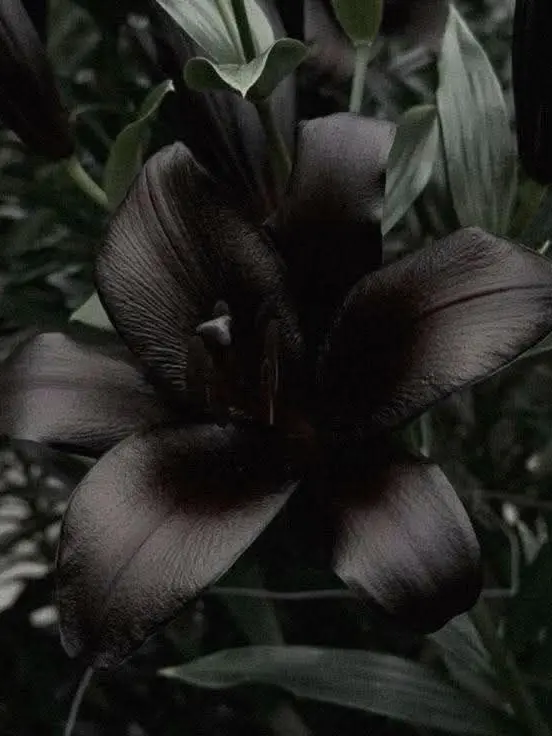 Si_yeon7의 "그냥.. 술먹고 잔거뿐이다."