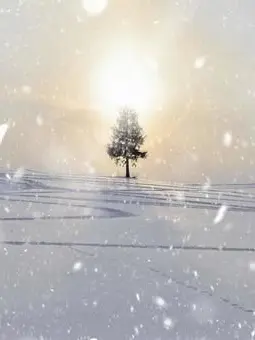 BoringEuro1307의 自分用