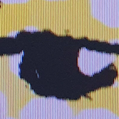 잼민이