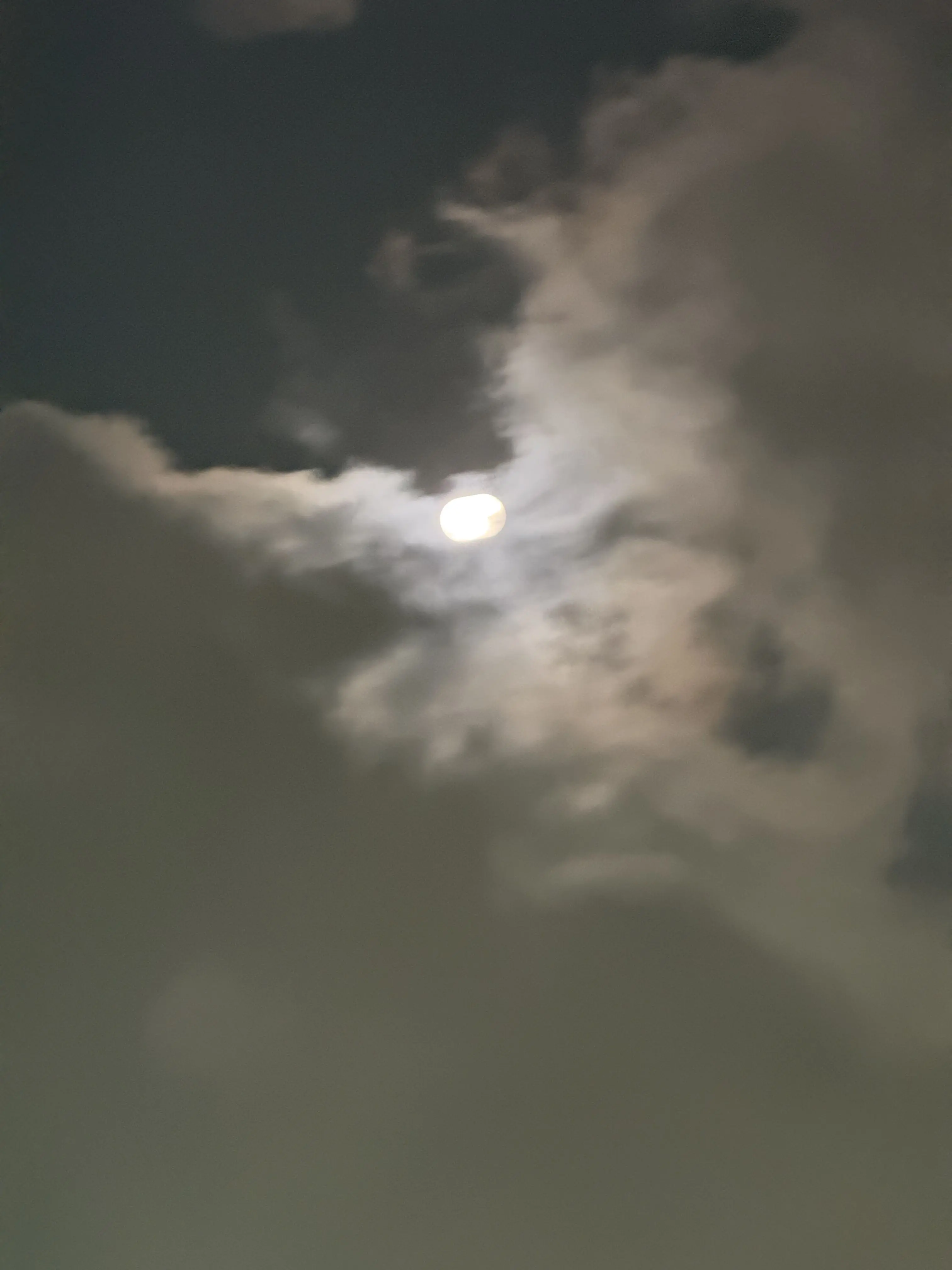 Stillfess의 해피니스 Happiness