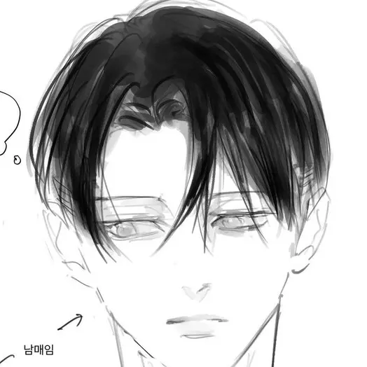Iovelevi의 리바이
