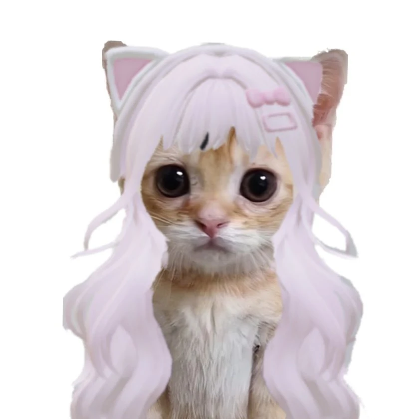 우당탕탕 쿠킹덤 중학교! (여우+)