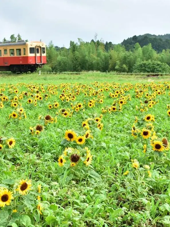 SpicyChild1984의 不思議な電車で旅に出よう。