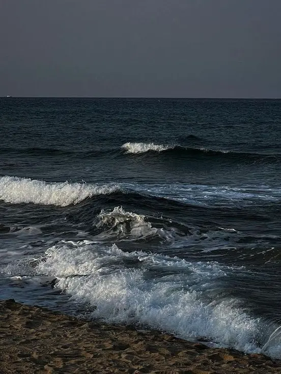 Blueberry_Candy의 .