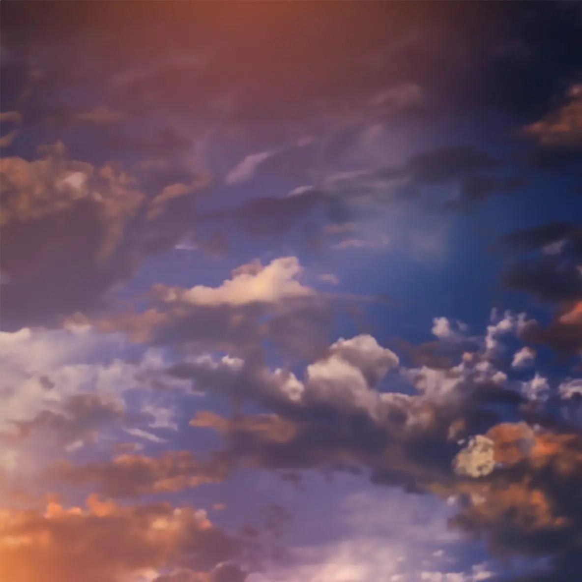 Kirakira_Zb1의 zb1 매니저 체험기