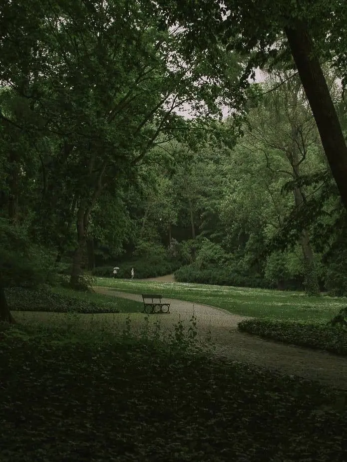 1988.8-18의 권지용