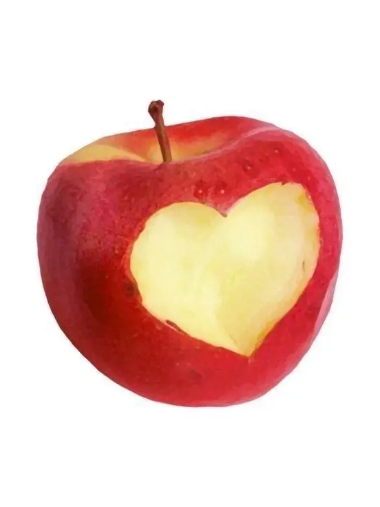 1988.8-18의 권지용