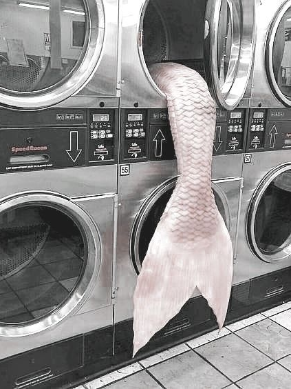 해온 대표 이미지