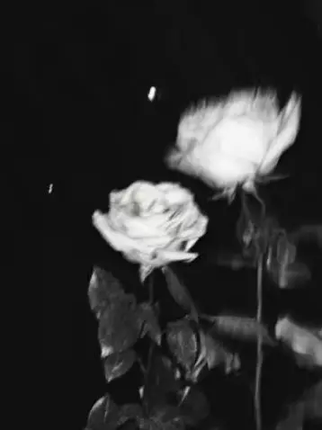 Min0130._.의 우융