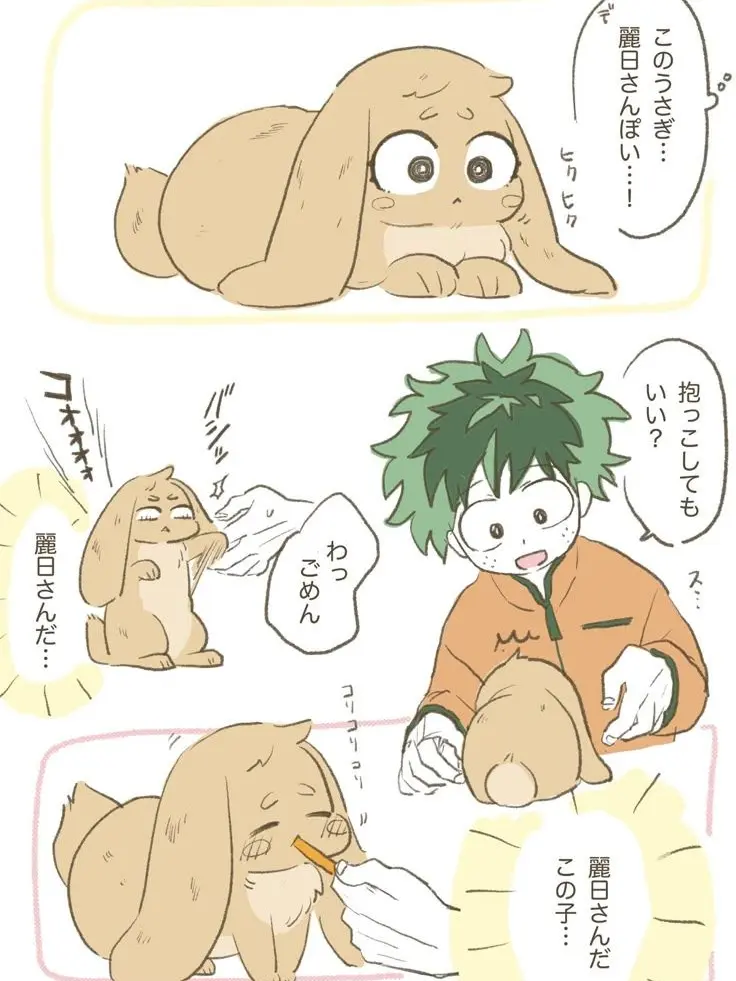 yuanekotyan의 userに似たうさぎ！？
