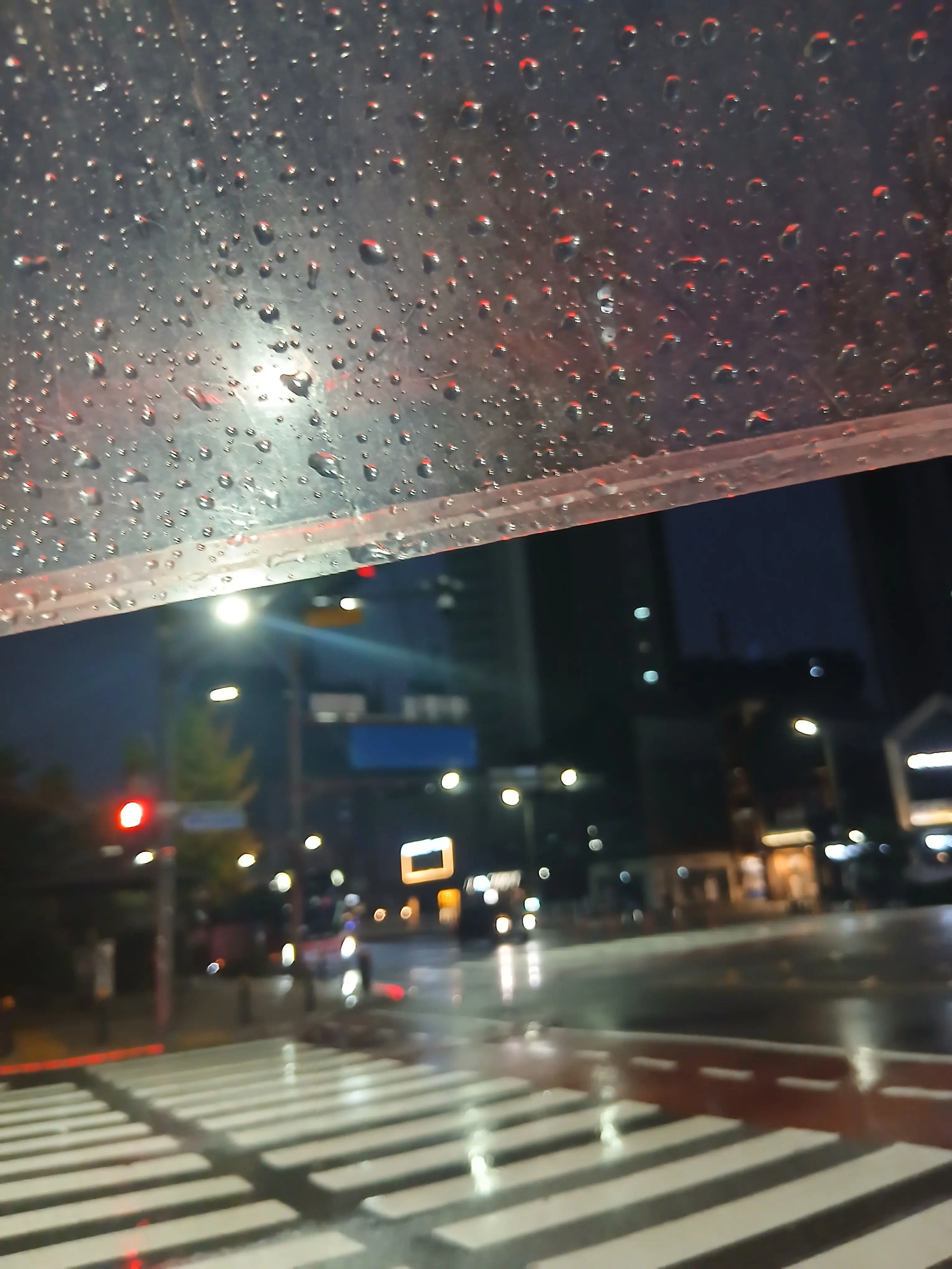 Bakug0_Katsuk1의 울어도,아니, 웃어도 될까.