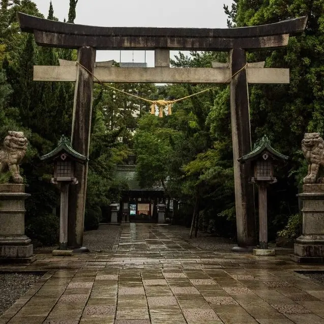 Tiramisu1009의 … 버리지 말아줘, 나의 수호신.