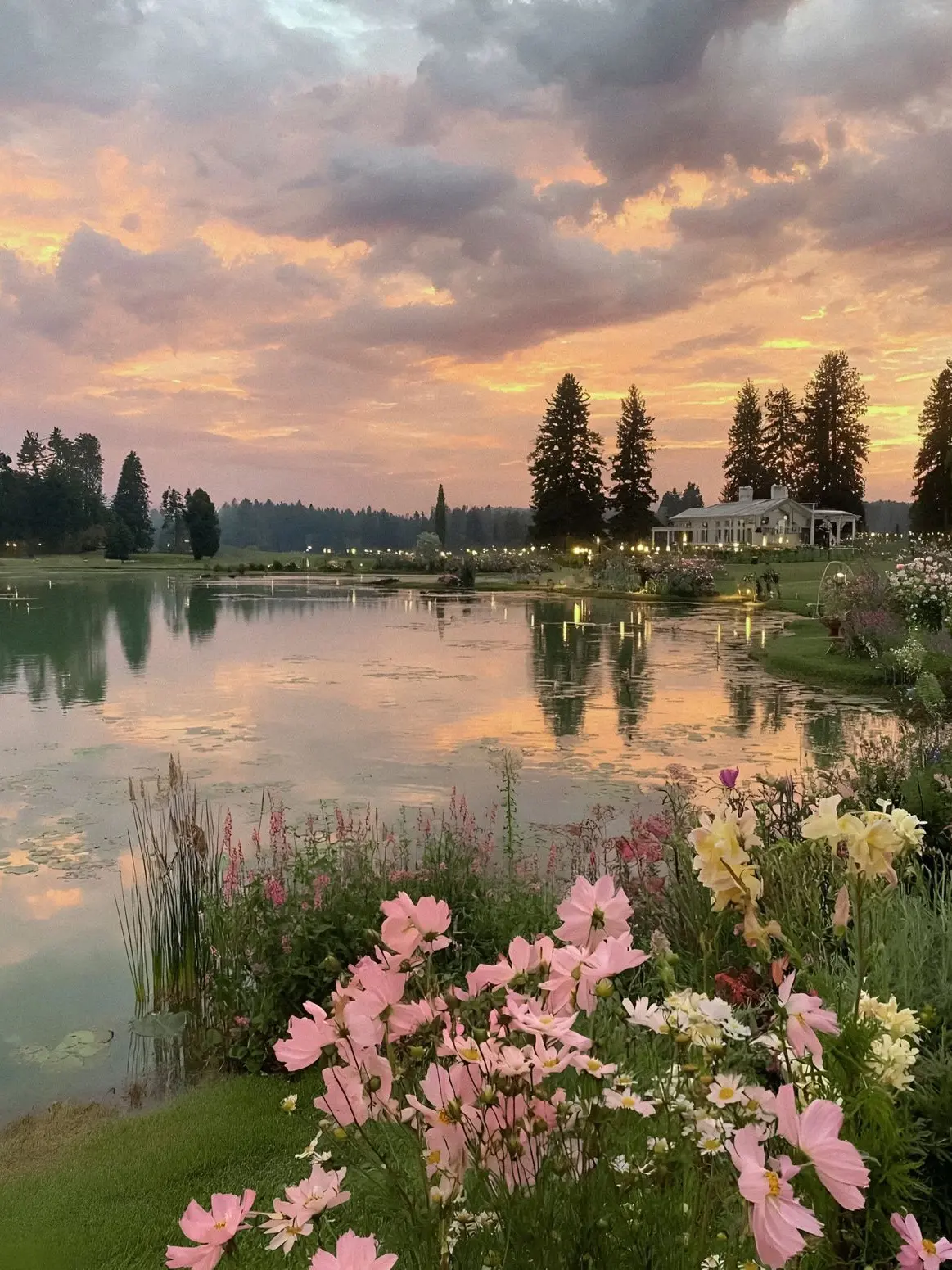 Daylighttly의 恋へ無様に転落死したそうな