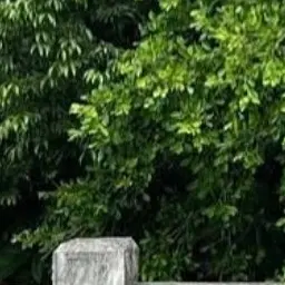 NewJeansz의 세계관 만들기