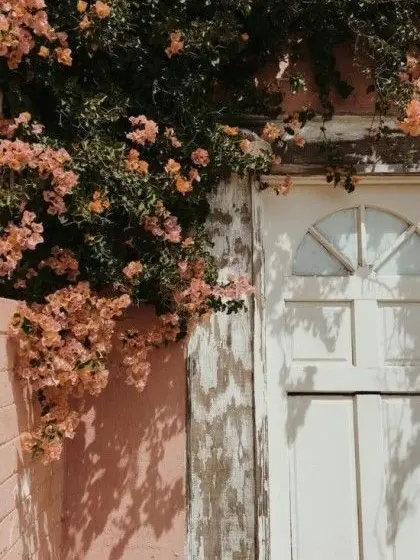 EL-_-의 𝑷𝑨𝑹𝑨𝑫𝑰𝑺𝑬.