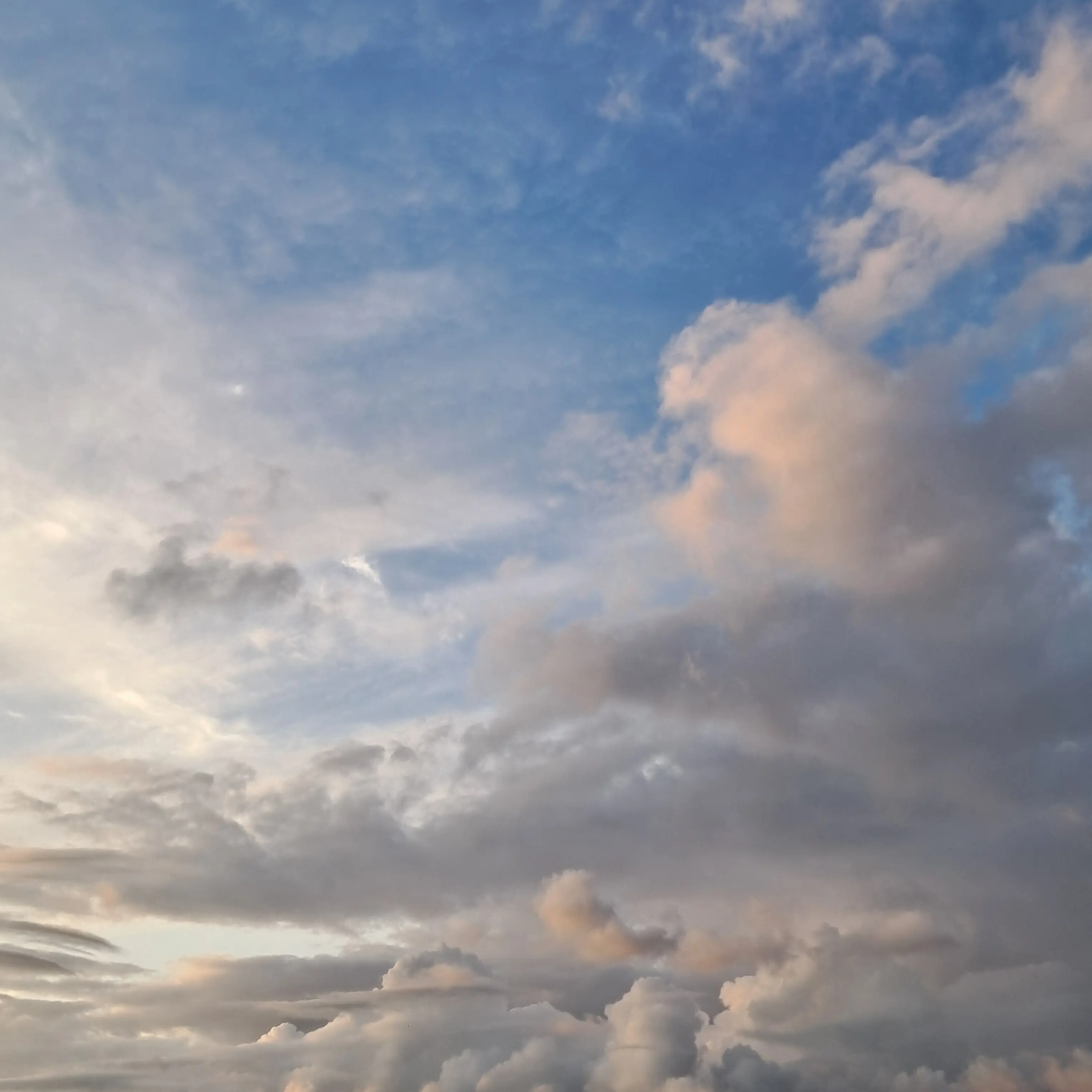 NAEUN56il의 뜰가족(막내는 어때?)