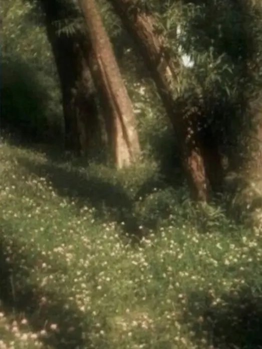 Simple_1406의 한번이라도 다시 날 봐줄래?