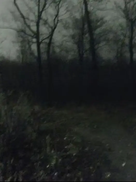 JerkyFence2196의 나쁜 놈