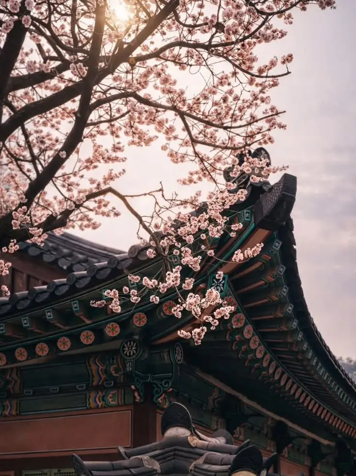 Yeonxuxuxux의 21세기 대군부인