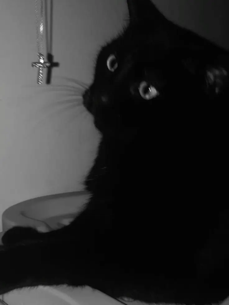 Ze.xta_14의 - 백야회