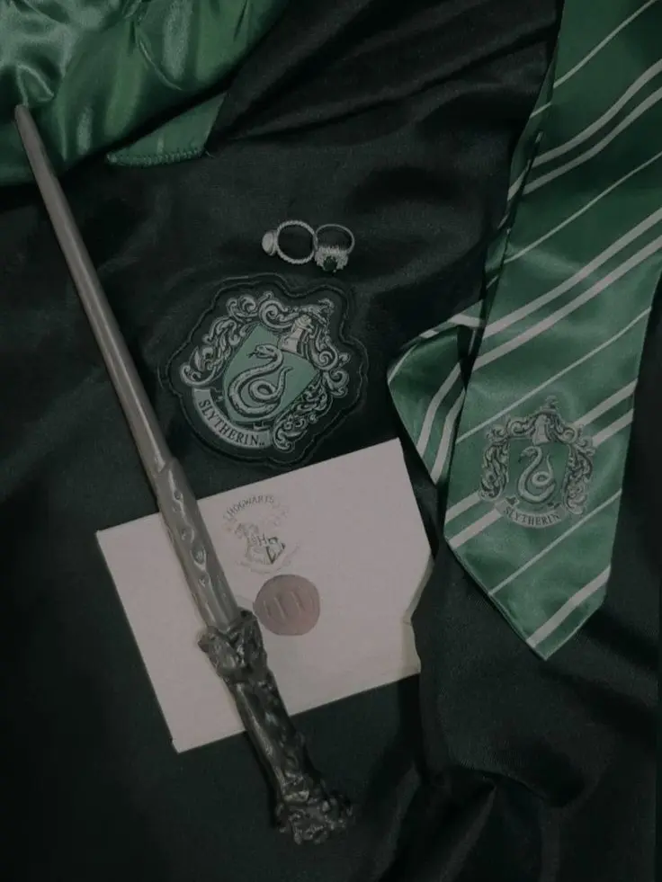 Dikie._.의 Regulus black