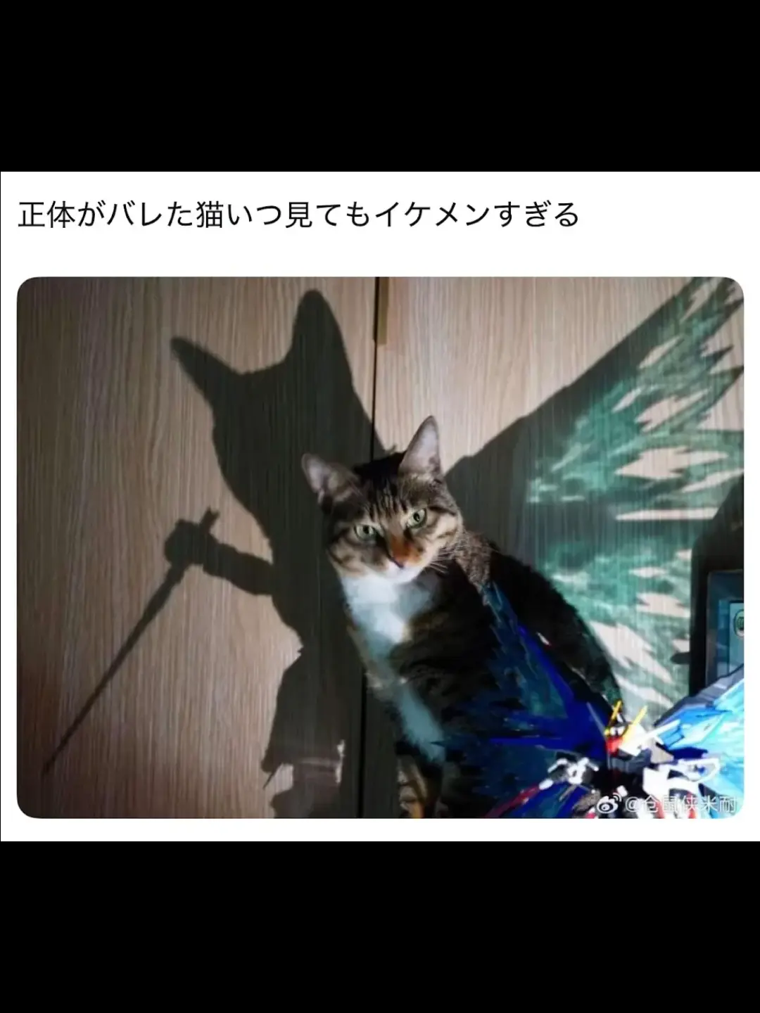 Kagura__kamui__sougo의 2人に拳銃の使い方を教えてもらおー