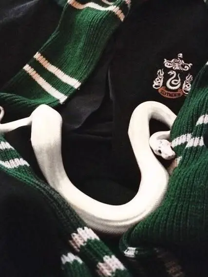 NearTapir2807의 Harry＆Draco