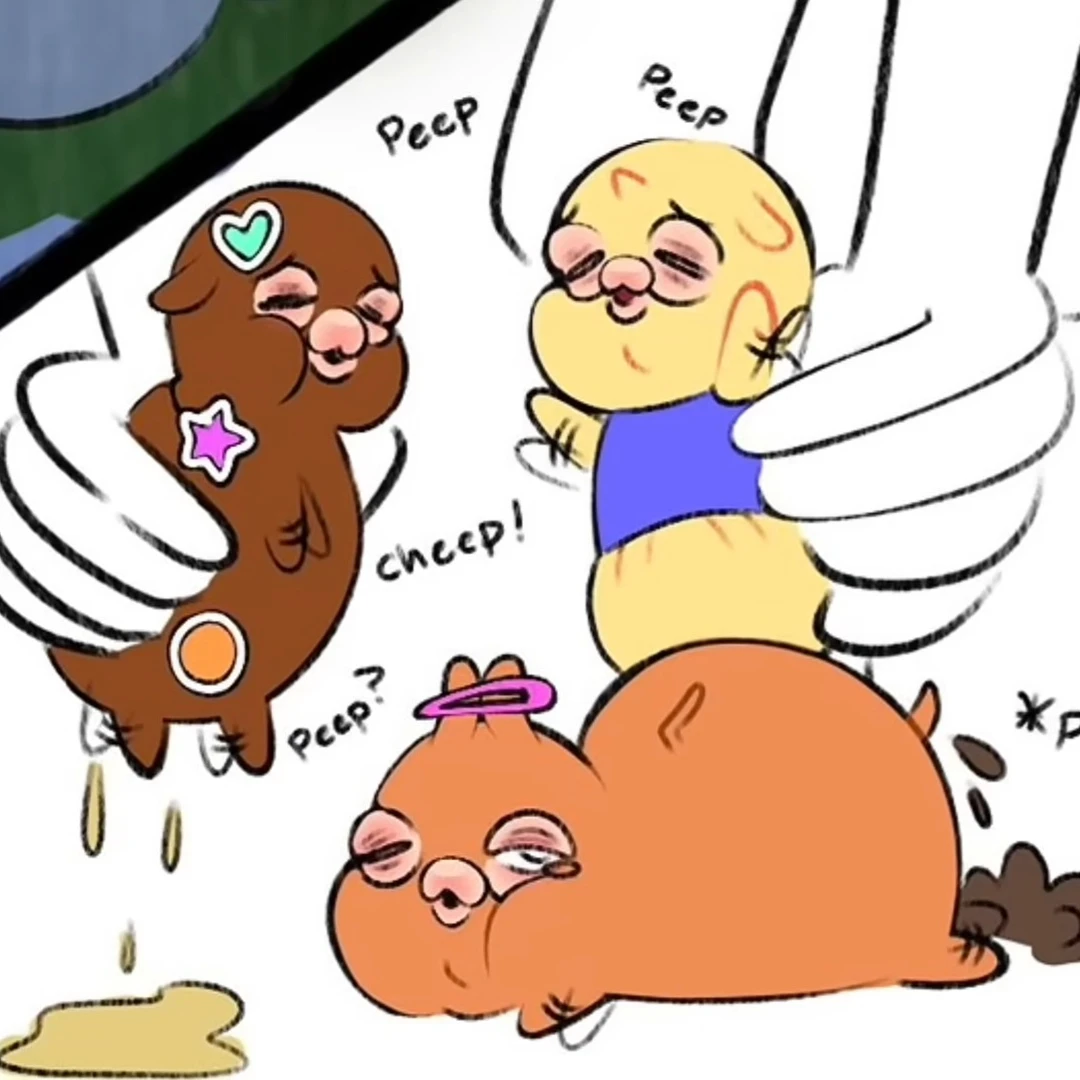 아기포니들 을 키우거나 가지고 놀기