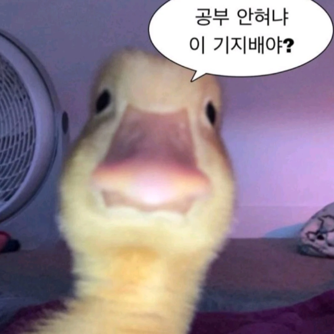 뭐야, 다들 어디가곤 킬러들만 보여?