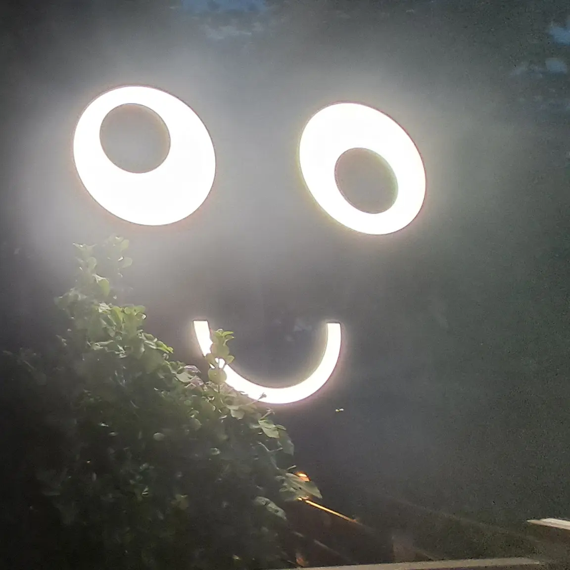 WhiteBeach0687의 뜰팁 조직