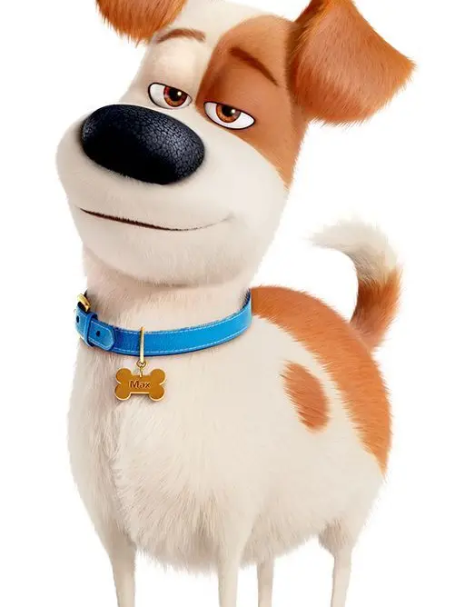 L0V3Y0U_4EVER의 Secret life of pets