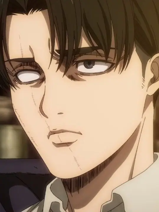 DrunkGlass6994의 Levi Ackerman