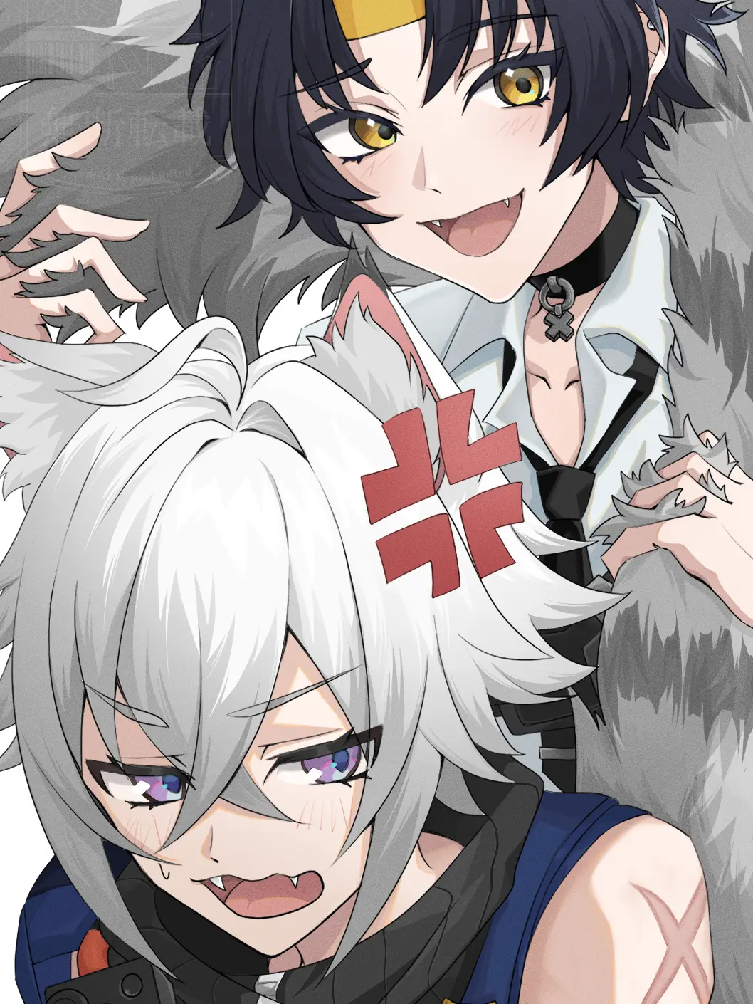 DenseMeter6116의 세스