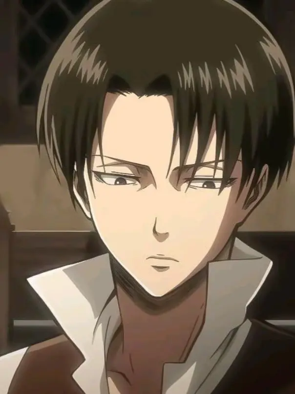 Levi_love03의 兵長は私のもの…（狐女あり）