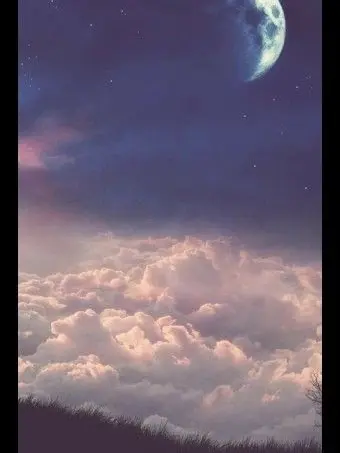 cat45880의 뜰팁조직